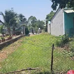 Bán đất Ấp 2 Hữu Thạnh Đức Hoà 6x35m mặt tiền đường bê tông - Ảnh thu nhỏ 2