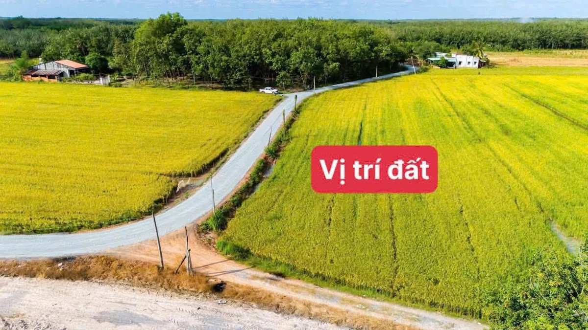 Bán đất mặt tiền Tây Ninh 250m² 189 triệu - Ảnh thu nhỏ 2