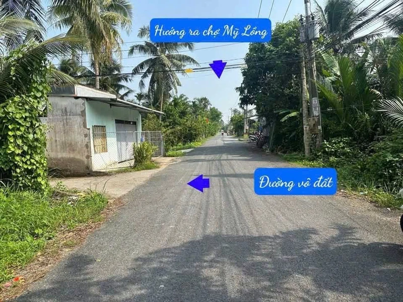 Bán đất 2.077m² tại Ấp Hoà Bình, Giồng Trôm, Bến Tre