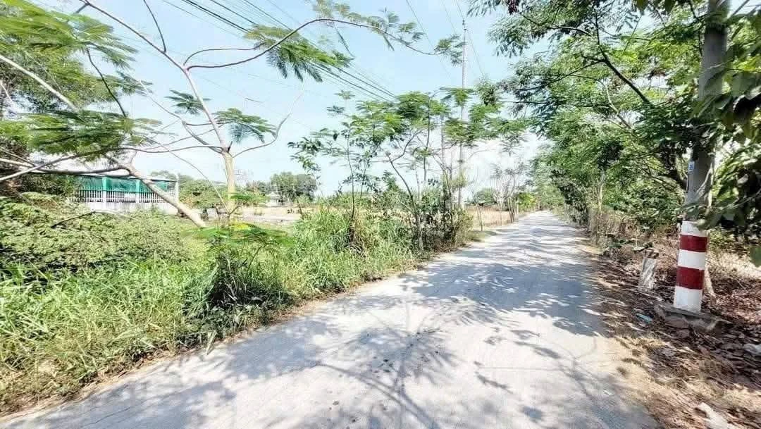 Bán đất thổ cư 101m² sát QL50 TP Giuộc - Ảnh 1