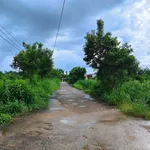Bán đất gần chợ Tân Thành Nhà Bè, 522m² chỉ 1,1 tỷ - Ảnh thu nhỏ 2