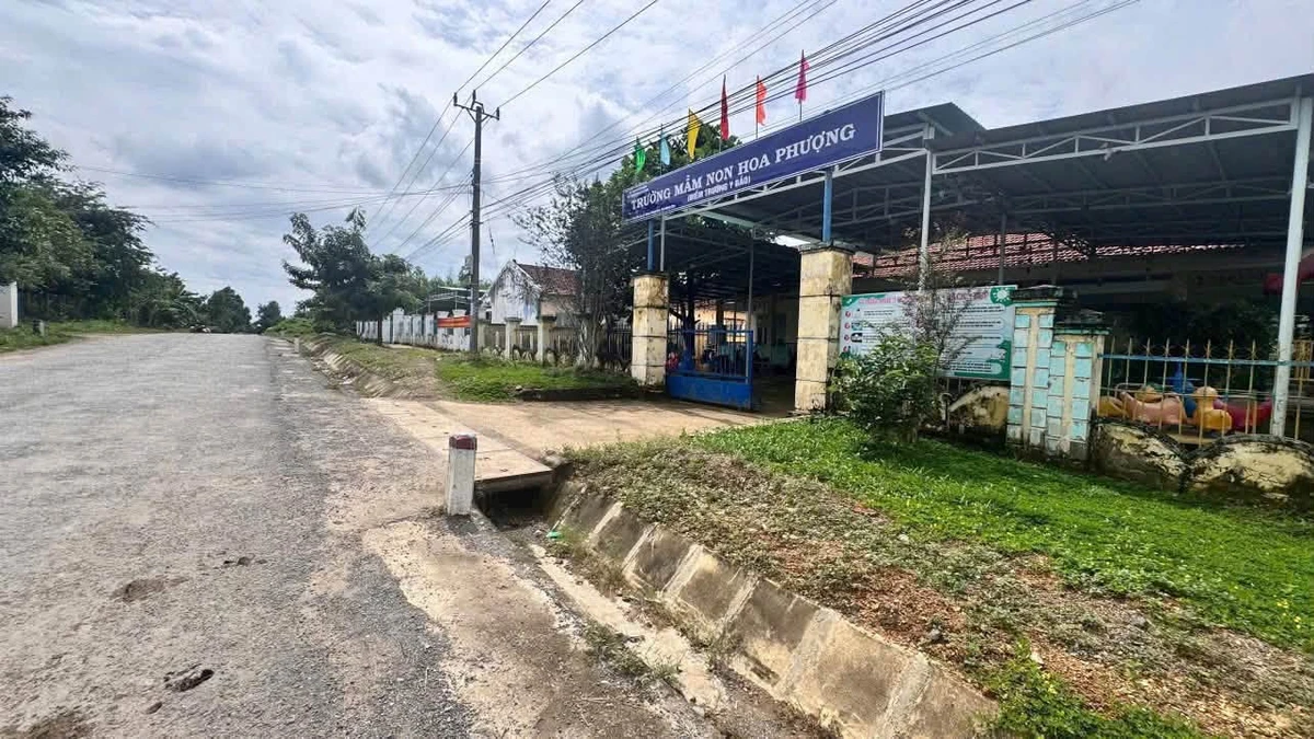 Bán đất mặt tiền 391m2 TL8C Khánh Hiệp, Khánh Hòa - Ảnh thu nhỏ 4