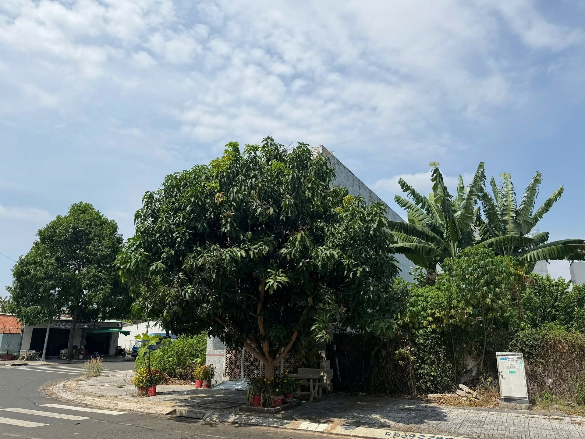 Bán đất mặt tiền Nguyễn Thái Học 95m² Bà Rịa - Ảnh 1