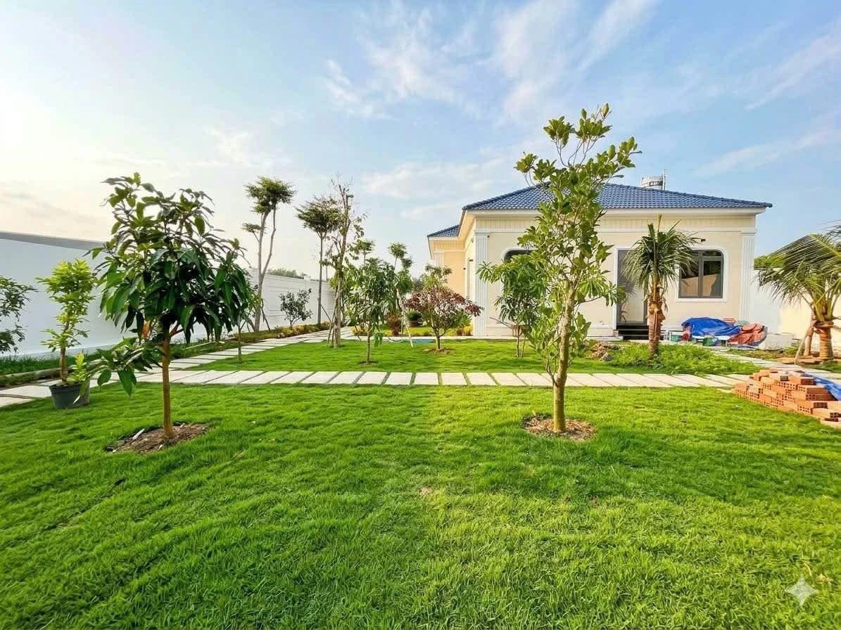 Biệt thự 1100m2, 4PN, hồ bơi tại Đức Hoà Long An, 8 tỷ 900 - Ảnh thu nhỏ 4