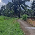 Bán 2 công đất vườn 2 mặt tiền Lợi Bình Nhơn, Tân An 2000m² - Ảnh thu nhỏ 3