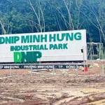Bán đất đường Minh Thành 250m² (40m² thổ cư) 470 triệu Bình Dương - Ảnh thu nhỏ 3