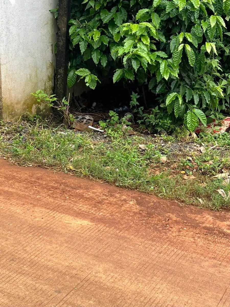 Bán nhà hẻm Trần Thủ Độ thông Đào Duy Anh, 50m2, giá 1,42 tỷ - Ảnh thu nhỏ 4
