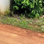 Bán nhà hẻm Trần Thủ Độ thông Đào Duy Anh, 50m2, giá 1,42 tỷ - Ảnh thu nhỏ 4