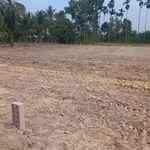 Bán đất 250m² đường nhựa Tây Ninh 420 triệu - Ảnh thu nhỏ 2