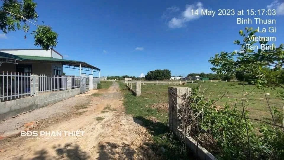 Bán đất Phan Thiết 498 m², 1 tỷ 950 triệu - Ảnh thu nhỏ 5