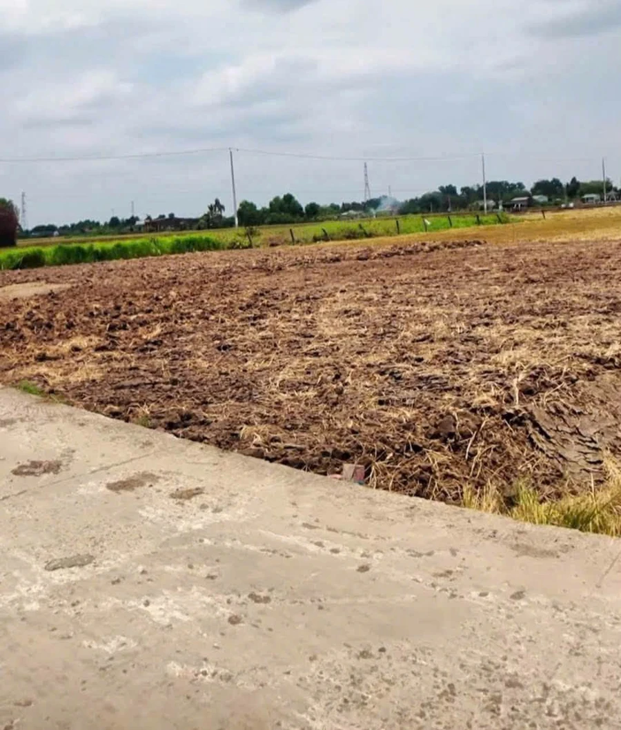Bán đất mặt tiền Nguyễn Văn Thọ 5x28.5m Tân Trụ Long An - Ảnh 1