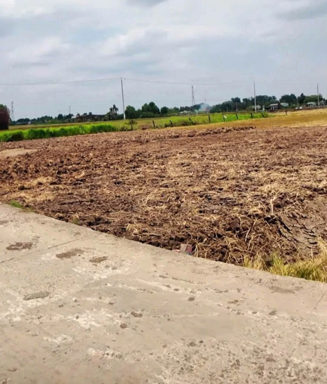Bán đất mặt tiền Nguyễn Văn Thọ 5x28.5m Tân Trụ Long An - Ảnh 1