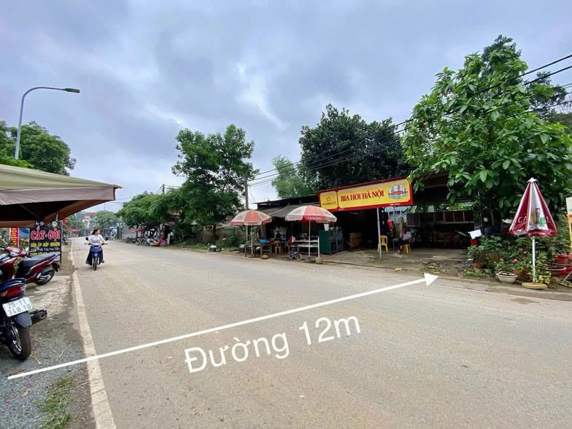 Bán đất kinh doanh Phú Mãn 116m² mặt đường trục chính - Ảnh 1