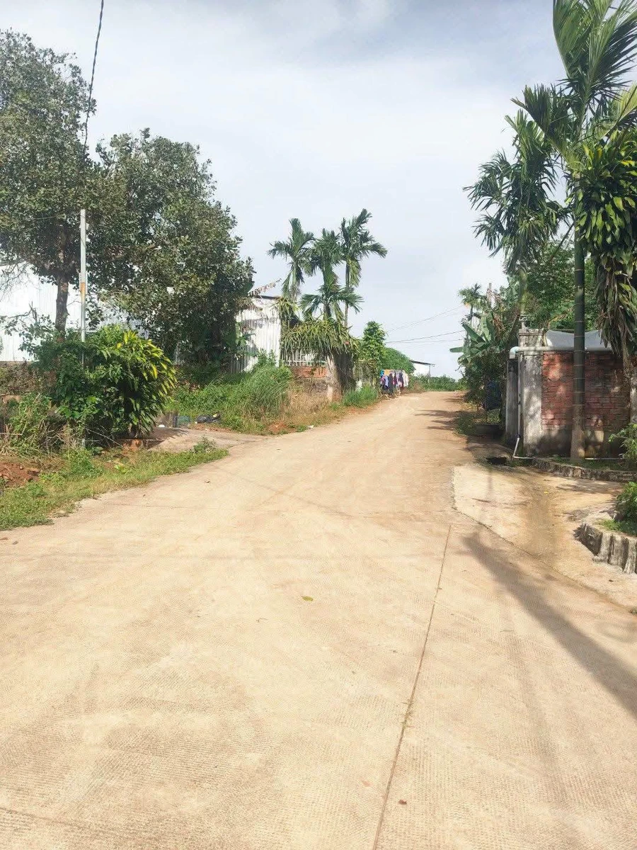 Bán đất nền 50m² Hóc Môn, giá 500 triệu - Ảnh thu nhỏ 4