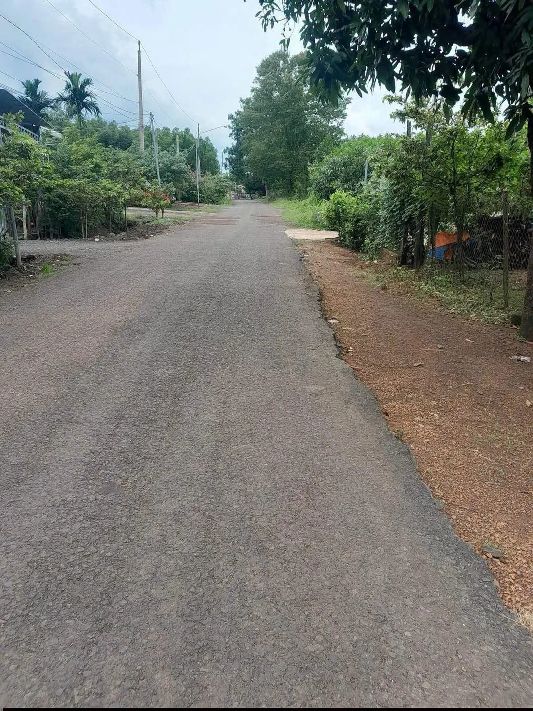 Bán đất 3 sào 4 Hóc Môn giá dưới 700 triệu - Ảnh 1