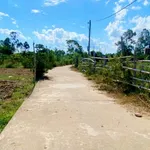 Bán đất Cẩm Kim Hội An 8x47m mặt tiền 3xx triệu - Ảnh thu nhỏ 1