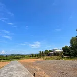 Bán đất nền Diên Thọ Cầu Rút 73.6m² 385 triệu - Ảnh thu nhỏ 3