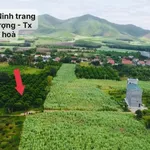 Bán đất vườn 5.000m² Khánh Hòa gần suối, sổ hồng - Ảnh thu nhỏ 3