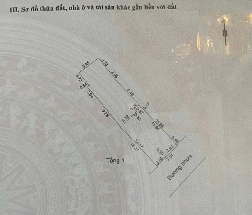 Bán đất 183m2 Thăng Long Đà Nẵng - Ảnh 1