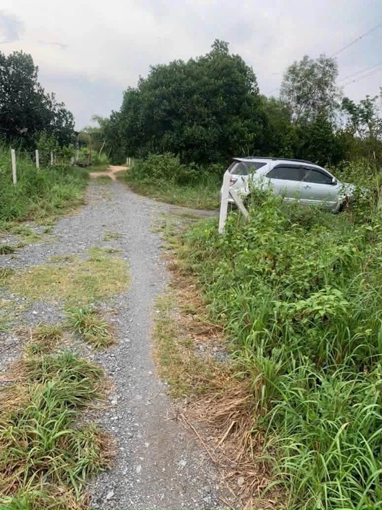 Bán lô đất Phường Phú An 3000 m² - Ảnh thu nhỏ 5
