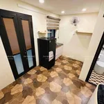 Cho thuê nguyên căn 1 PN Quận 1, 20m2, 10tr/tháng - Ảnh thu nhỏ 2