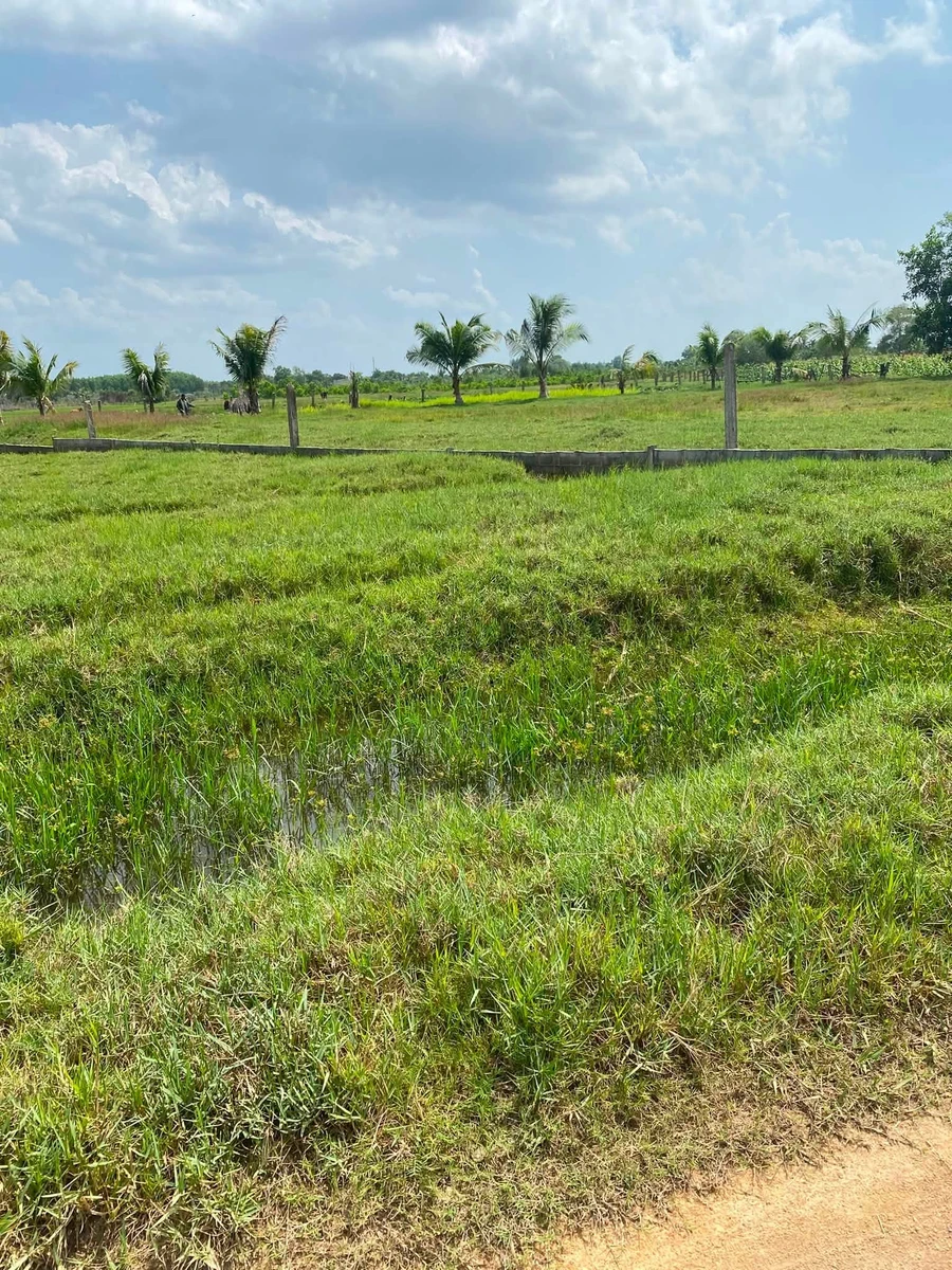 Bán nền đất 5x30m (150m²) 550 triệu Lạc Gì, Lâm Đồng - Ảnh thu nhỏ 2