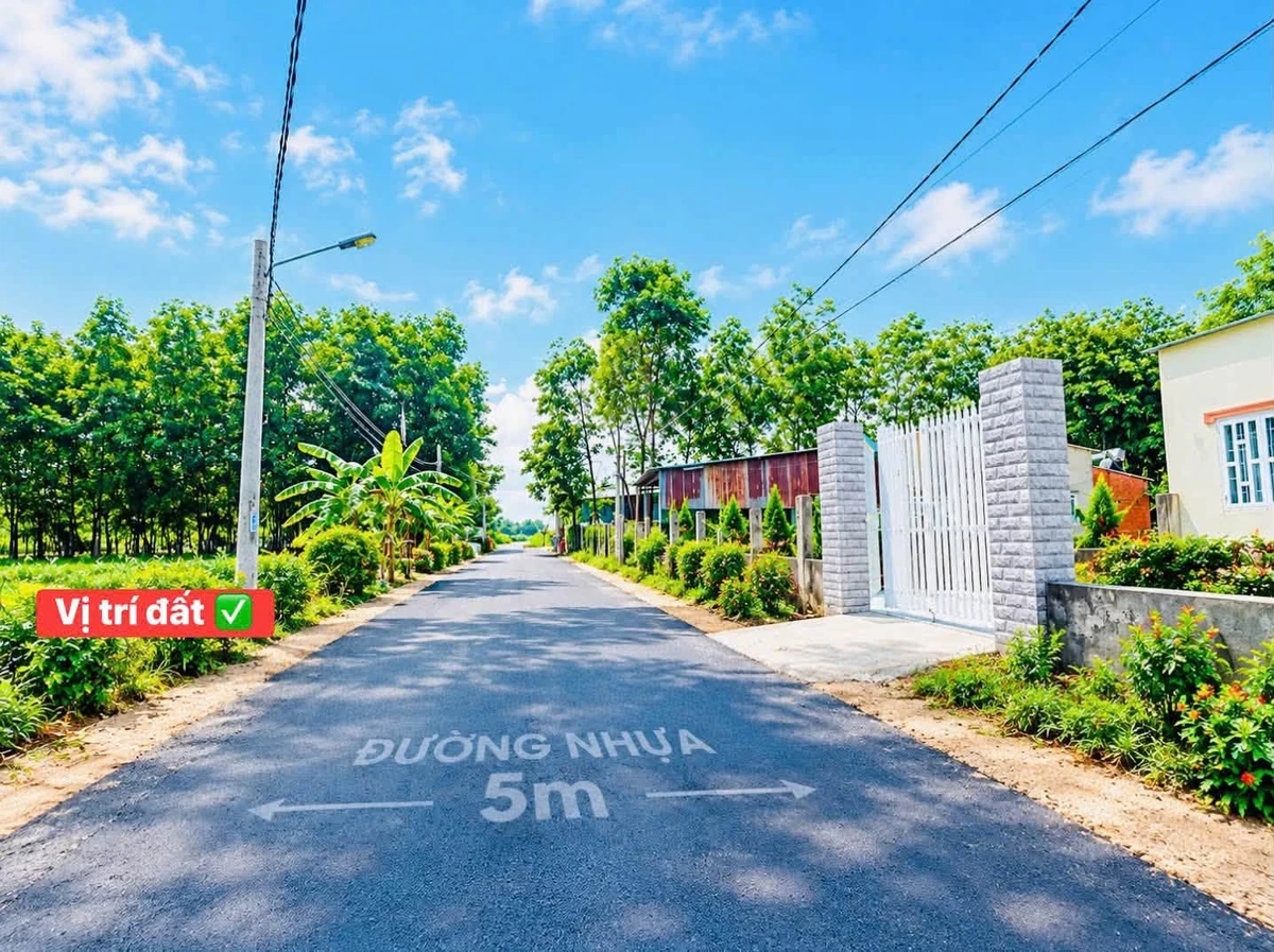Bán đất nền 100m2 gần KCN Becamex giá 395 triệu - Ảnh thu nhỏ 2
