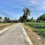 Bán đất mặt tiền Lộ Cù Là 1,6 tỷ, 1.455 m² - Ảnh thu nhỏ 4