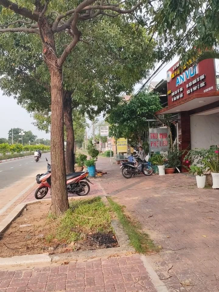 Bán nhà tôn mặt tiền 91m2 Vũng Tàu 2,85 tỷ - Ảnh 1