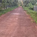 Bán đất mặt tiền B8 Nguyễn Xuân Nguyên Tân An 125m2 - Ảnh thu nhỏ 2