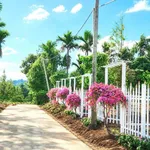 Bán đất Hóc Môn 155m2, gần hồ Việt Đức, 225 triệu - Ảnh thu nhỏ 3