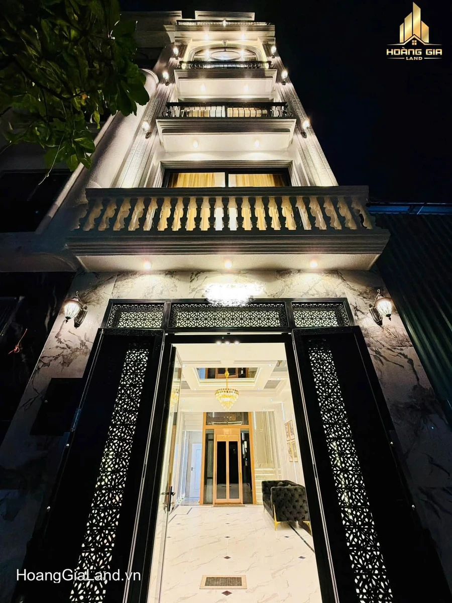 Bán nhà hẻm xe hơi Lê Văn Thọ 4x12m, thang máy, 10,9 tỷ, Thông Tây Hội, Gò Vấp - Ảnh 1