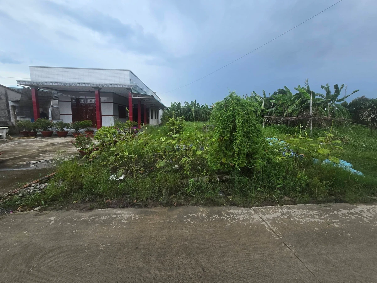 Bán gấp đất 2022m2 có 200m2 thổ cư, Ấp 4 Nhựt Chánh, Bình Chánh, giá 2,3 tỷ - Ảnh thu nhỏ 4