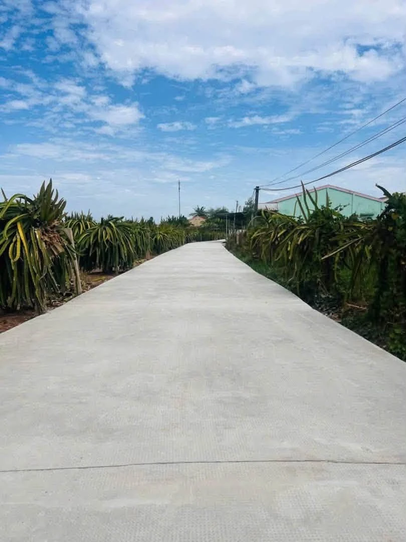 Bán 5 nền đất thổ cư 5m x 32m tại Tây Ninh - Ảnh 1