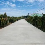 Bán 5 nền đất thổ cư 5m x 32m tại Tây Ninh - Ảnh thu nhỏ 1
