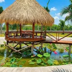 Bán nhà vườn 1.600m² Phan Thiết, 1 tỷ 790 - Ảnh thu nhỏ 2