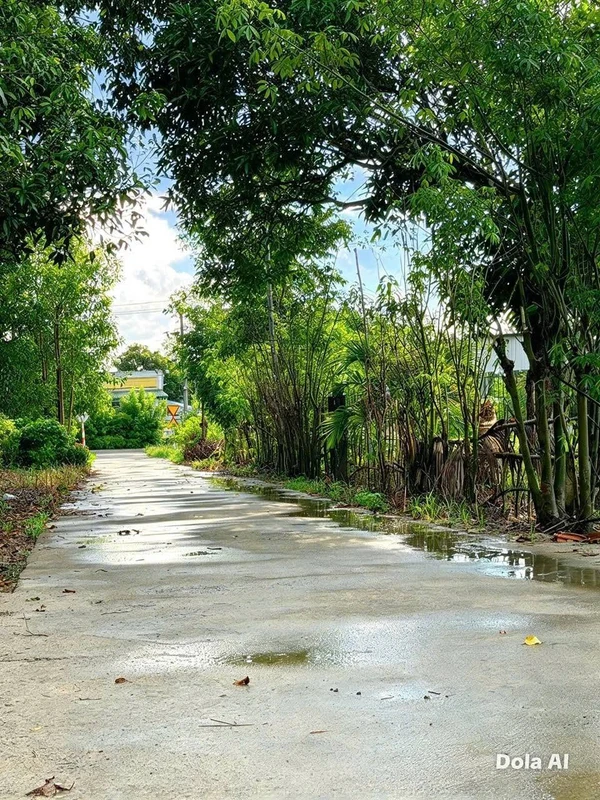 Bán nhà mới xây 2PN, 80m² Phú Hoà, Định Quán