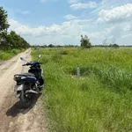 Bán đất thổ cư 260m² Cần Giờ mặt tiền đường xe hơi 1 tỷ 90 - Ảnh thu nhỏ 4