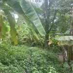 Chính chủ bán lô đất 606.4m2 full thổ tại An Hoà, Châu Thành, An Giang chưa đến 1.118 tỷ - Ảnh thu nhỏ 4