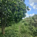 Bán đất vườn 7700m² tại Xã Thạnh Lợi, Tây Ninh - 5 tỷ 500 triệu - Ảnh thu nhỏ 5