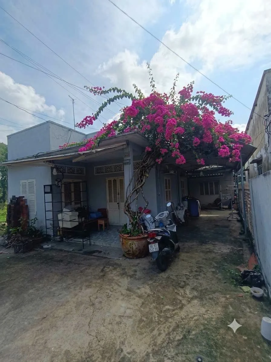 Bán nhà lô góc 2 mặt tiền 146m2 gần chợ Hội Am, Phường Hố Nai, Đồng Nai - Ảnh thu nhỏ 3