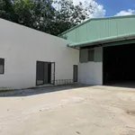Cho thuê xưởng 2.600m² Chánh Phú, Bình Dương - 145 triệu/tháng - Ảnh thu nhỏ 4