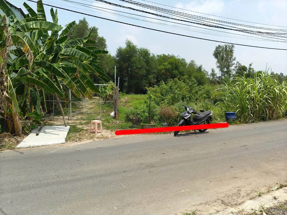 Bán đất Tân Định 60m2 gần Trường Thỏ Ngọc 1 tỷ 3 - Ảnh 1