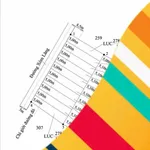 Bán 9 nền đất mặt tiền 125m² Long An 6 tỷ - Ảnh thu nhỏ 4
