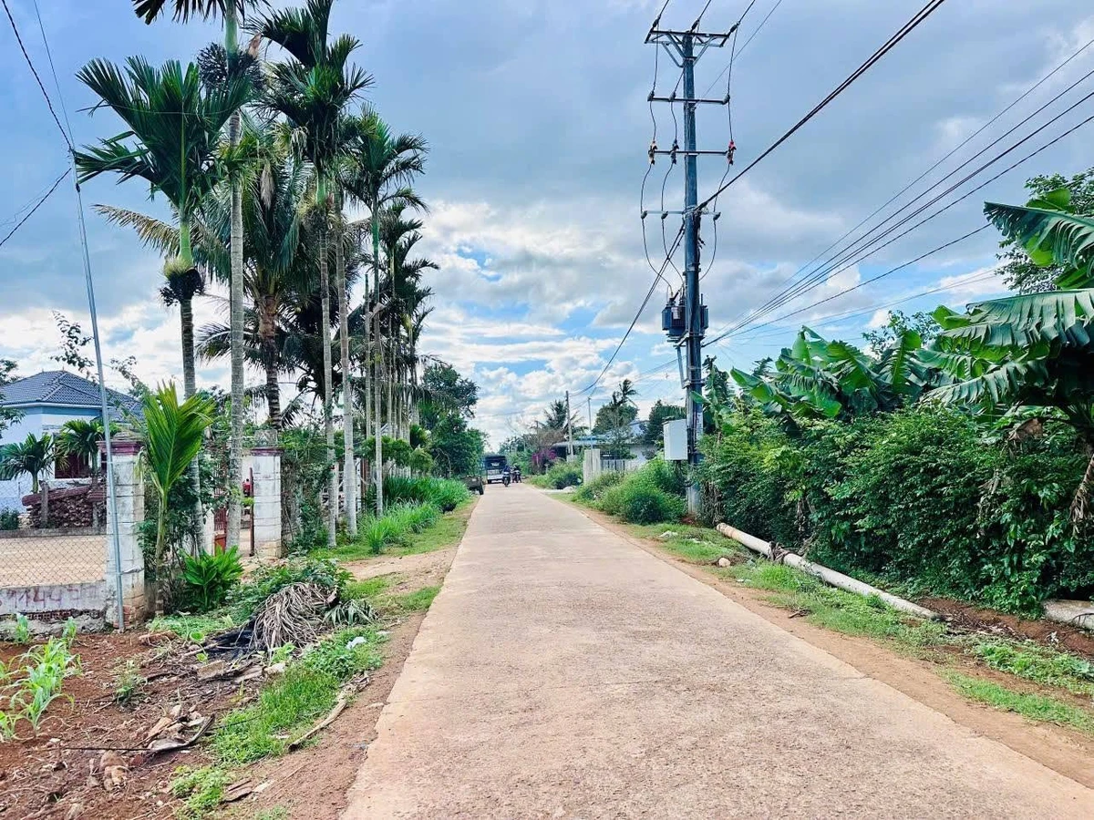 Bán đất 200m² Cư Kuin Bình Dương 899 triệu - Ảnh thu nhỏ 4