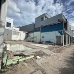 Bán nền đất 75m² trục chính Đồng Ngọc Sứ, Cần Thơ - Ảnh thu nhỏ 1