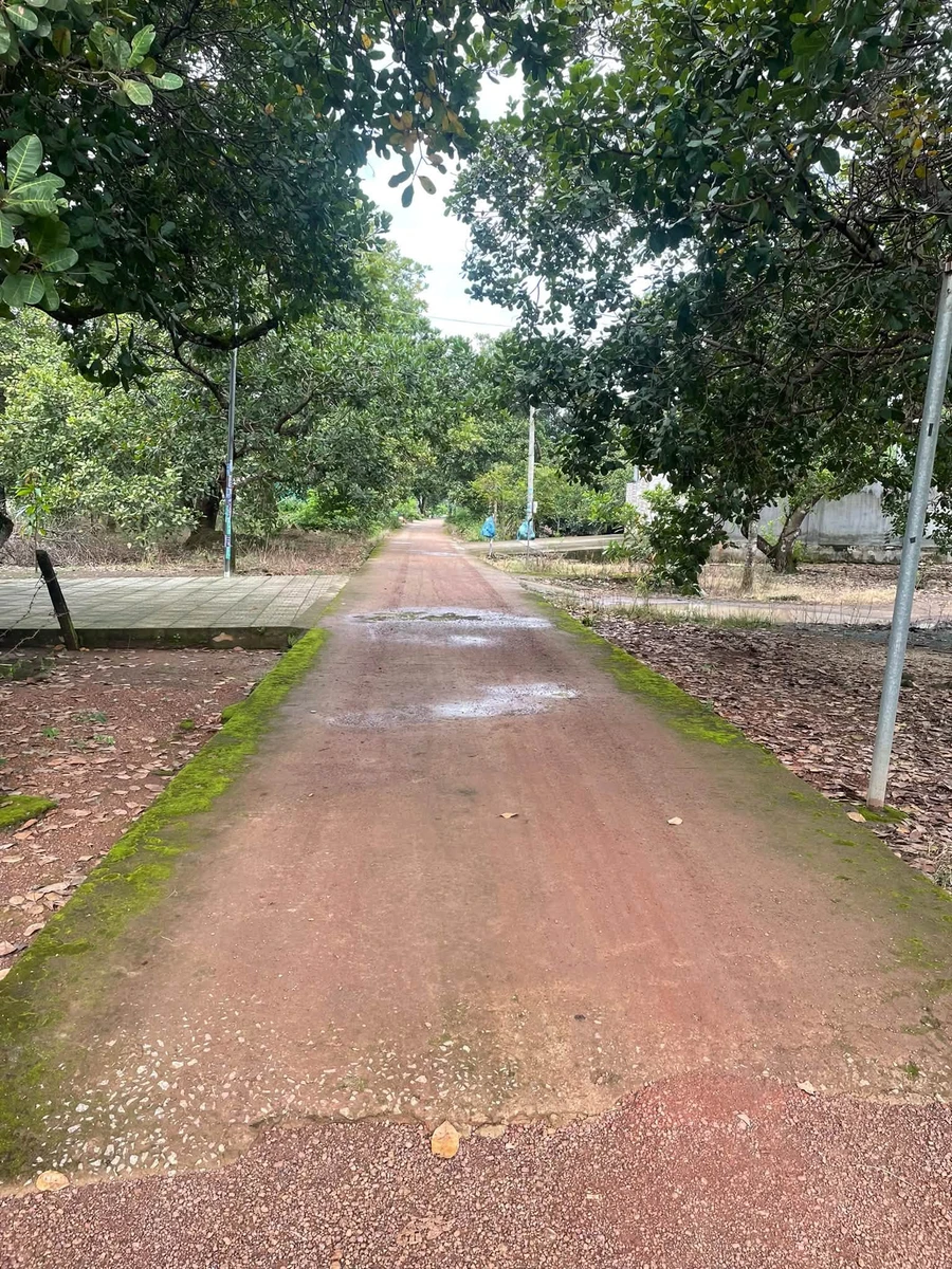 Bán 1 hectare đất Phường Đồng Phú, Bình Dương 8,5 tỷ - Ảnh thu nhỏ 2