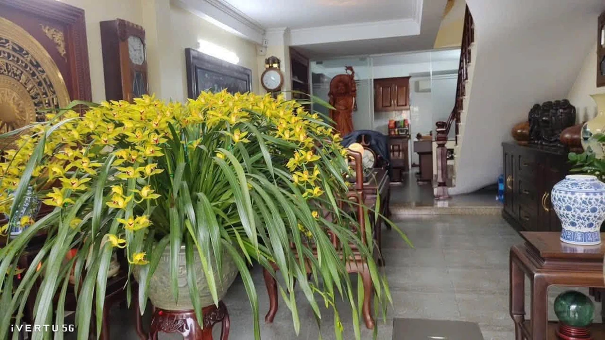 Bán nhà mặt đường 60m² Hạ Long 11.5 tỷ - Ảnh thu nhỏ 5