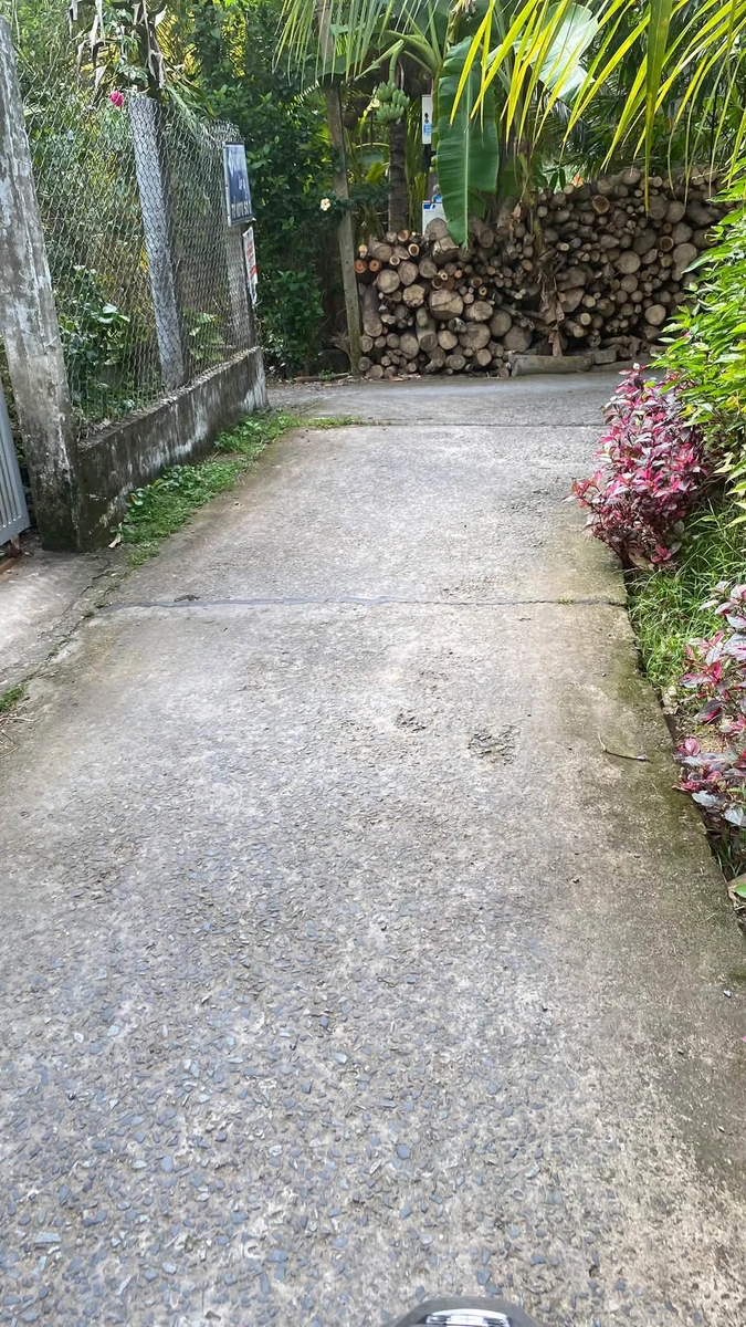 Bán đất vườn 1.800m2 ngang 21m tại xã Nhơn Thạnh, TP Bến Tre giá 1,25 tỷ - Ảnh thu nhỏ 2