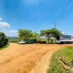 Bán đất Tân Hà Hoài Đức 100m² thổ cư 680 triệu - Ảnh thu nhỏ 2